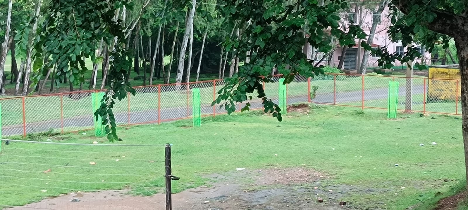 WhatsApp Image 2025-10-11 at 9.42.05 AM